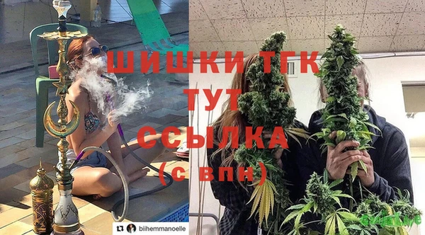 сатива Заволжск