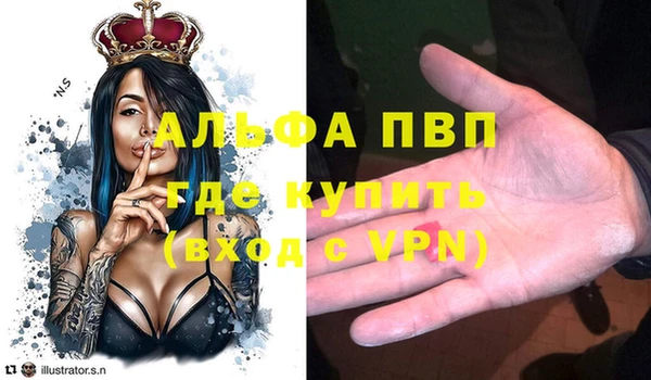 гидра Заводоуковск