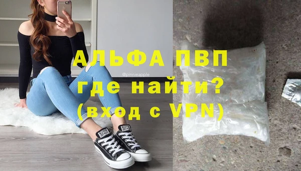 гидра Заводоуковск